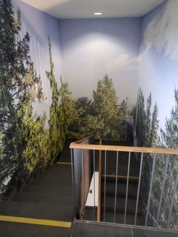 Testimonial Alexander Unold.jpg