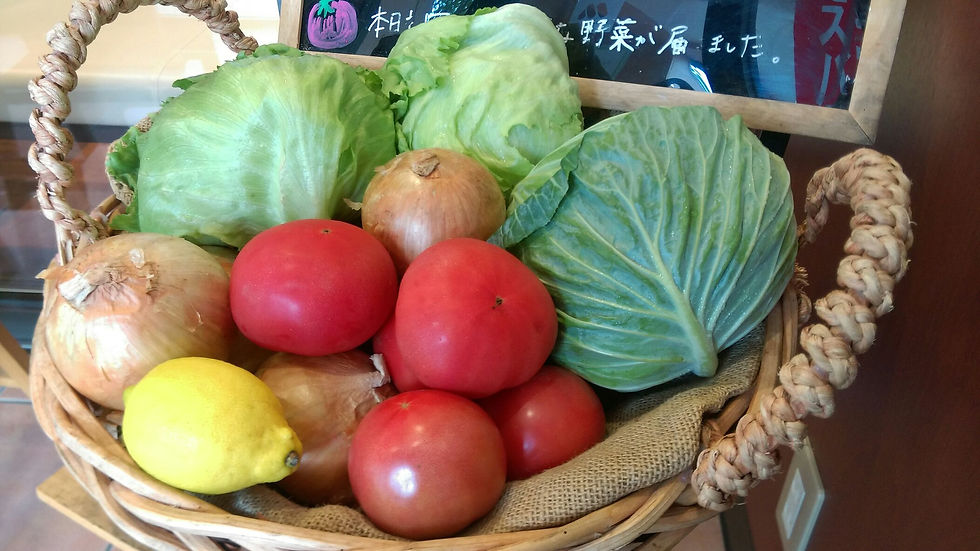 新鮮なお野菜