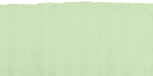 TX green rip top.png