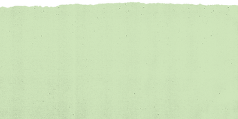 TX green rip top.png