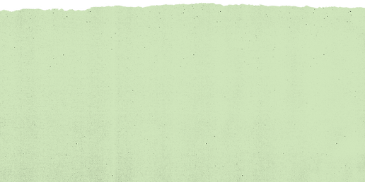TX green rip top.png