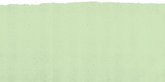 TX green rip top.png