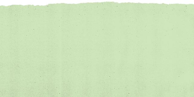 TX green rip top.png