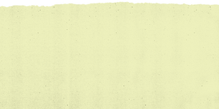 TX yellow rip top.png