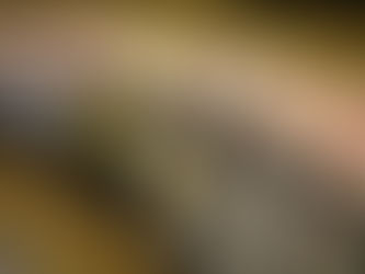 Why Alcohol Is Legal and Psychedelics Are Not: The Politics, Money, and Cultural Forces Behind a Backwards Safety System