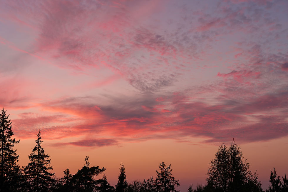Pink and purple sunset sky with soft clouds above silhouetted trees, creating a calm and reflective landscape.