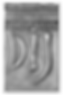 icomos_ff
