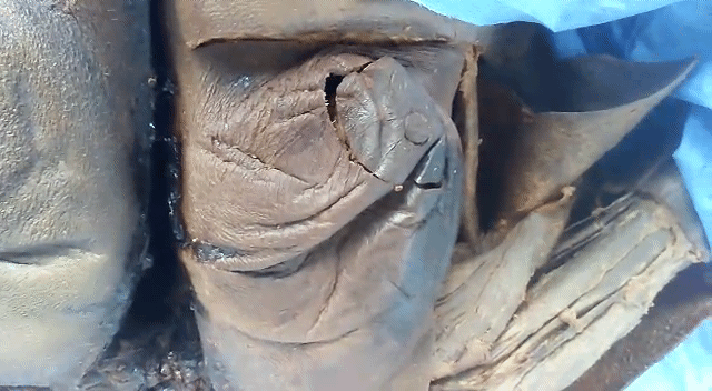 Video_20190603_220005_1.gif
