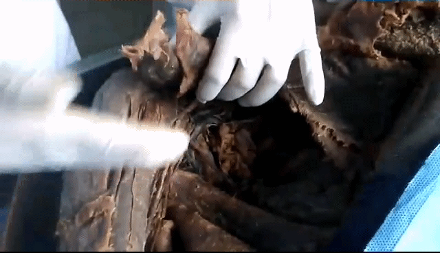 Video_20190603_222750_3.gif