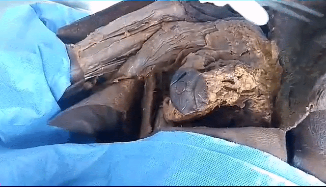 Video_20190603_223857_s_2.gif