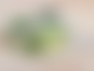 ハーブティーブレンドワークショップ開催