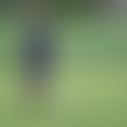 Le classement de l'équipe première (Départemental 2)