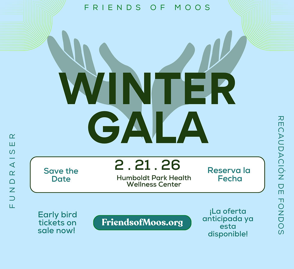 Gala de invierno de Moos