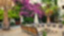 Garden -7.jpg