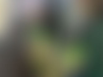 „Wir lieben Lebensmittel!“