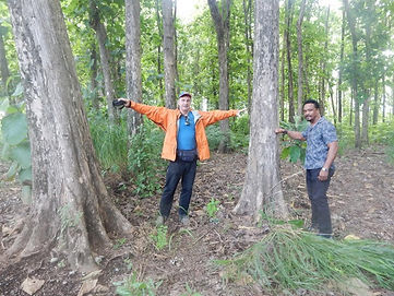 Teak farm, Richard and Gene.jpg