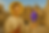 ChatGPT Image Apr 24, 2025, 11_23_10 AM.png