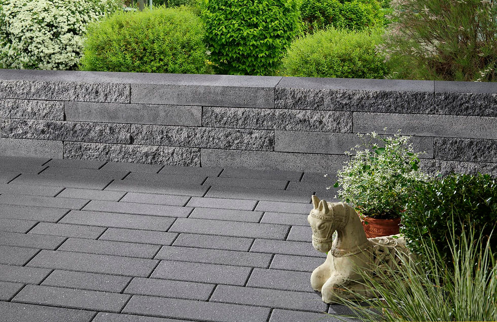 Miniature : Mur KANN ADINA