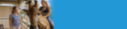 Austax Header.jpg