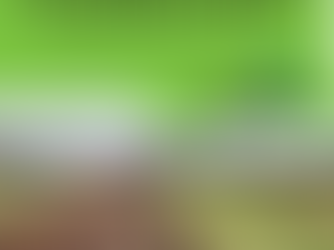 Avanza la extensión de la red de afluentes líquidos y agua.