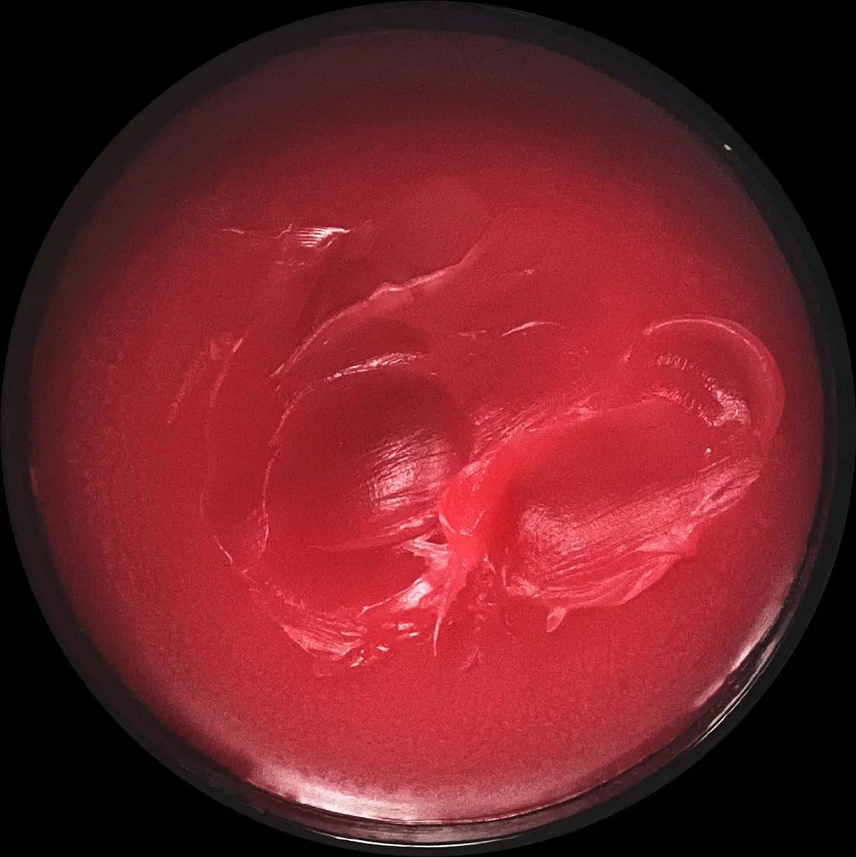 Sun Bronze open jar