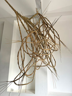 7 Buinho beatriz horta correia