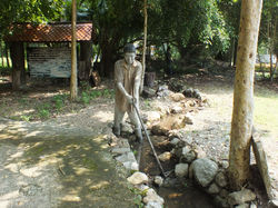 DSCF2870