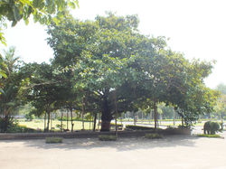 DSCF2858