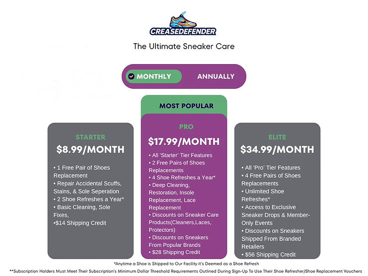 Purple and Yellow Modern Gradient Subscription Plan Graph - 1.jpeg