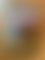 Bury Lit Fest in Suffolk Magazine