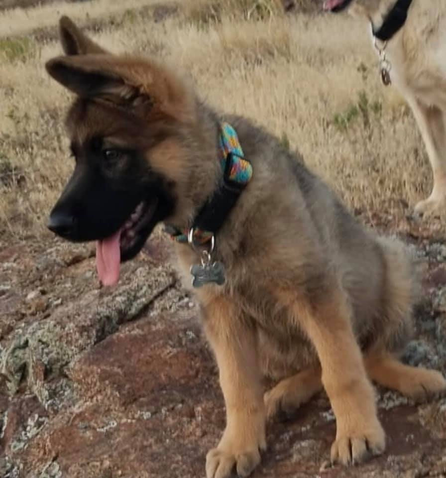 57170685_2355202248099836_54321353931410