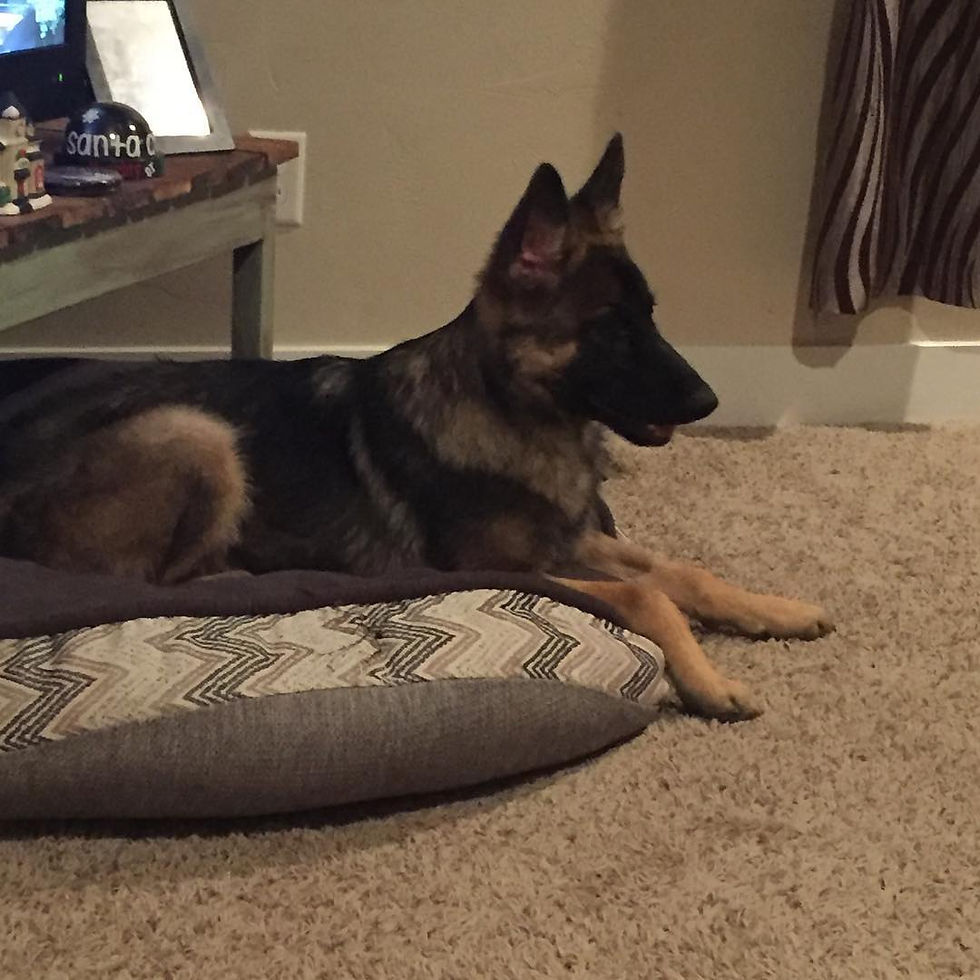 57291128_2357663041187090_82253452120634