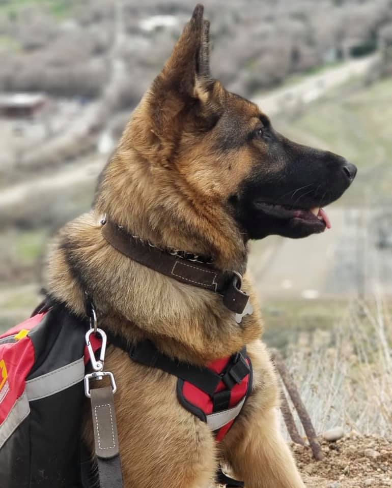 57096958_2354584391494955_31684508551919