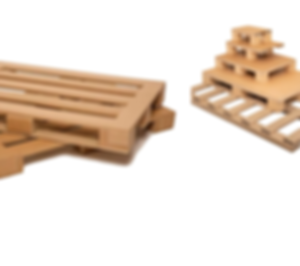 Sustainable Packaging EN HU.png