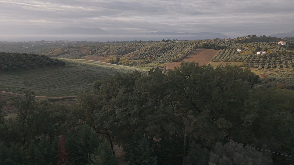 DJI_20251031075719_0611_D.MP4_20260617_114125.876.jpg