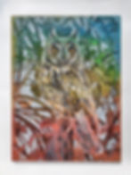 Long eared owl small