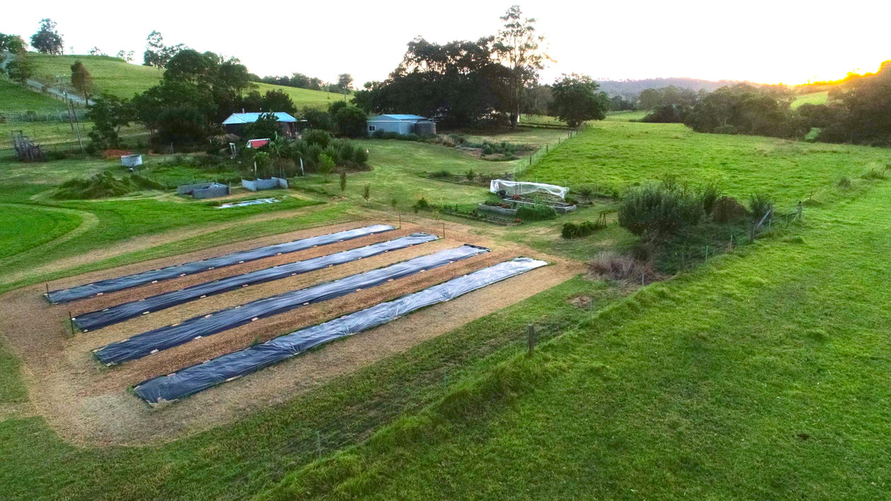 Landscape Design Country Garden Mid North Coast