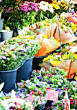 Bouquets Symbolize Thoughtfulness