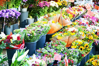 Flower Bouquets