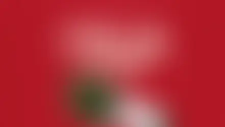 RAI RADIO 1: GLI INFLUENCER | 5 luglio 2024