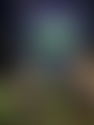 Mobile golf simulator truck parked in neighborhood during an 18th birthday party celebration