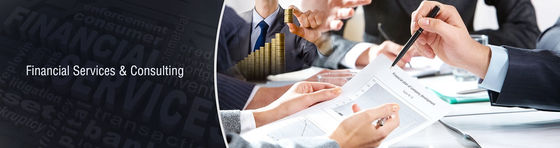 Financial Services & Consulting