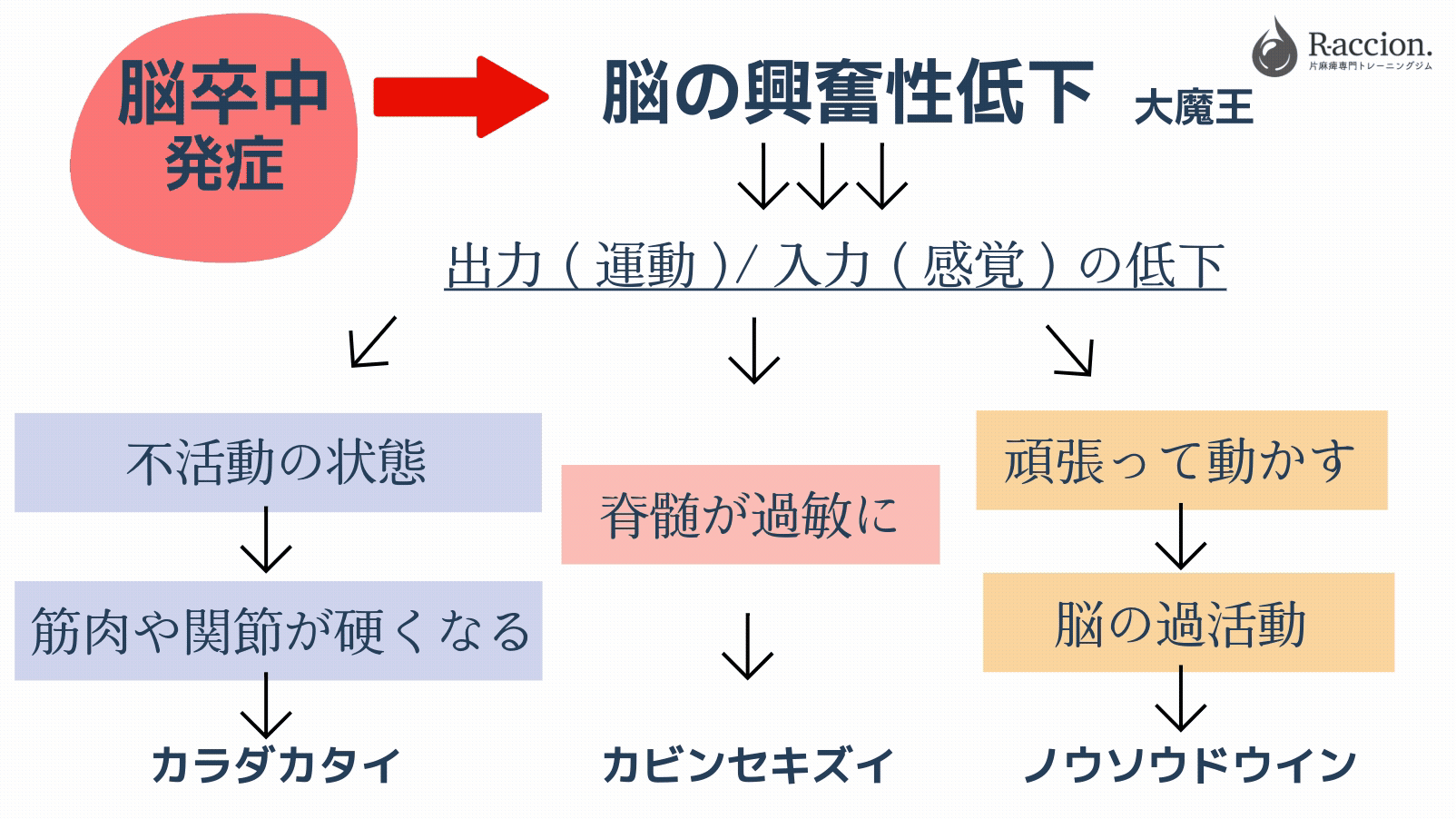 痙縮の神経生理学的メカニズムを資格したイラスト