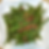 A30 干煸四季豆 - Dried Green Beans