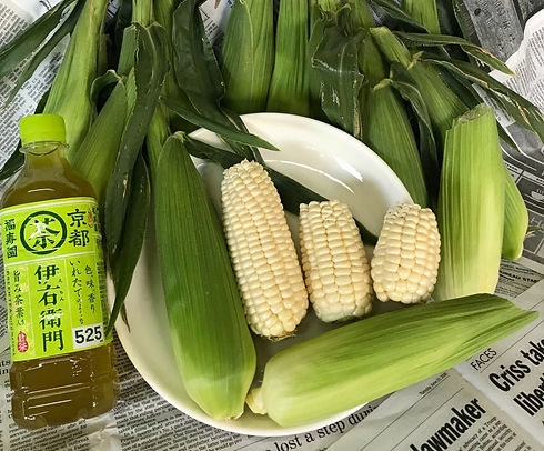 2F3EC58E-8C7A-4A7A-87C9-F8AB851D0460_edi