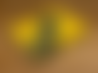 おすすめグルメ記サンプルのコピー2