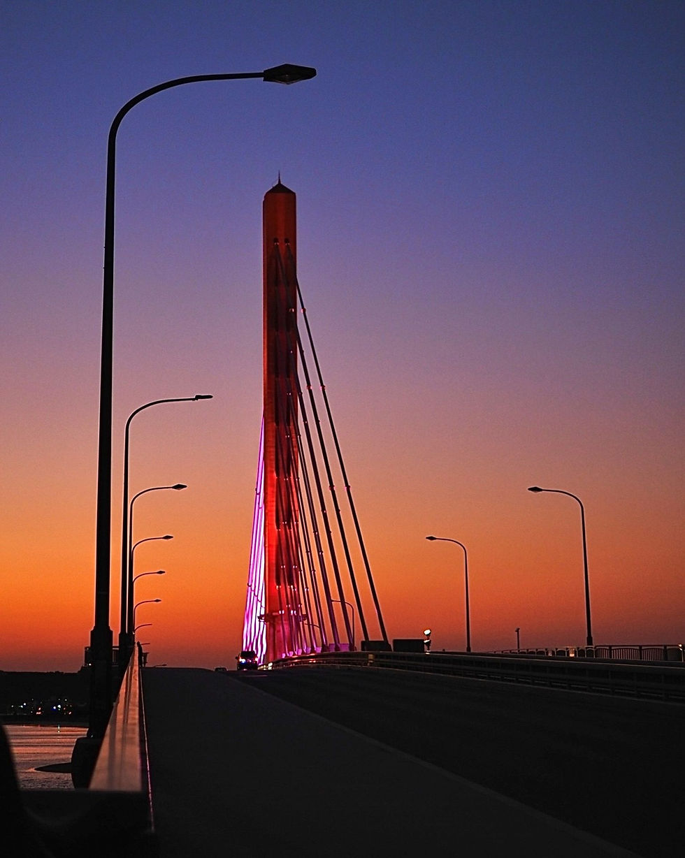 240304_4-1532x1920.jpg