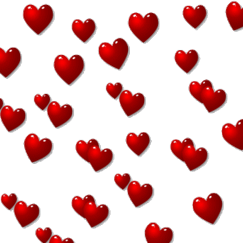 c49a692a5a5710756ec912fff3623b9f.gif
