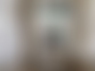 En dan ben je plots terug in Oostende, thuisgekomen in de haven, ‘heaven’ …