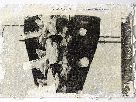 silver halide print of two black pots with spine in foreground.